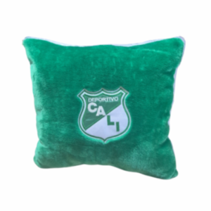 Cojin equipo de peluche cali